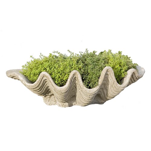 Campania International, Inc Handmade Planter & Reviews | Perigold